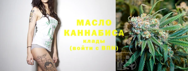 дмт Дмитриев