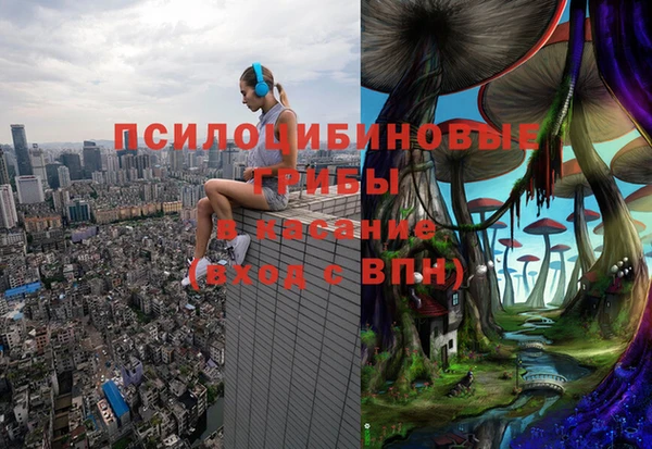 синтетический гашиш Дмитров