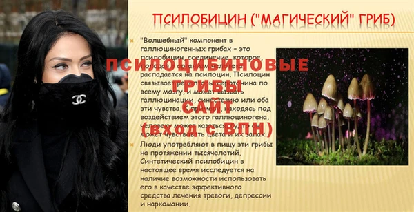 синтетический гашиш Дмитров