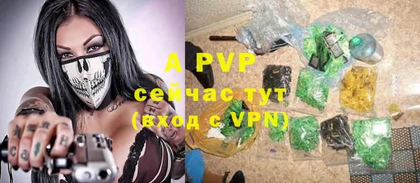 гашик Гусиноозёрск
