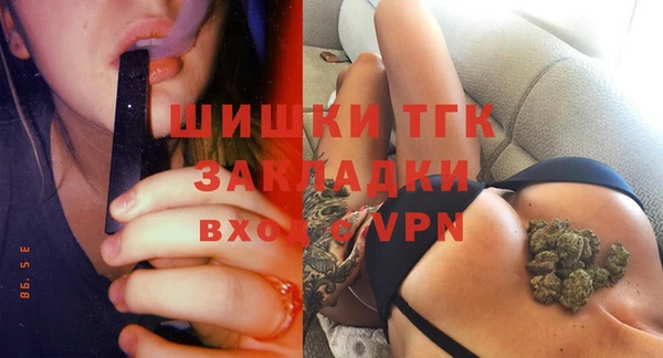 дмт Дмитриев