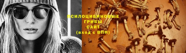 Альфа ПВП Дмитровск