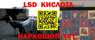 шишки Апшеронск