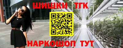 шишки Апшеронск