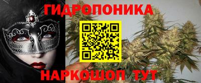 шишки Апшеронск