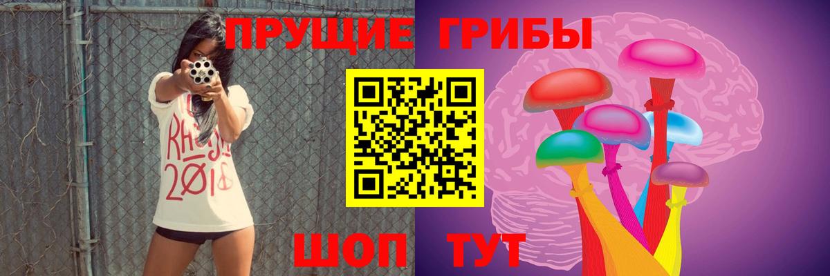 Галлюциногенные грибы Psilocybe  Ачинск 